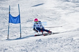 深圳队教练组突发调整，陈涛请辞获准，向君临时代理组长职务